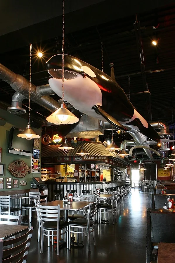The Whale Raw Bar and Fish House interior with suspended whale sculpture